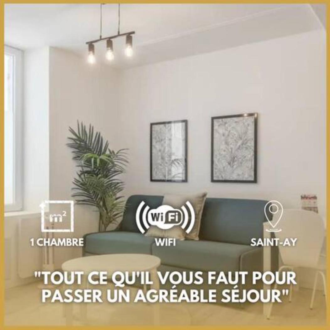 Apartament Charme De Loire A St Ay *T2* Saint-Ay Zewnętrze zdjęcie